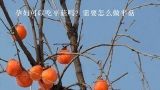 孕妇可以吃平菇吗？需要怎么做平菇