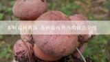 茶树菇炖鸡汤 茶树菇炖鸡汤的做法介绍,茶树菇炖鸡的做法