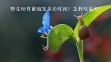 野生松茸菌泡发多长时间？怎样吃最好？