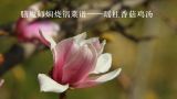  膳魔师焖烧锅菜谱——瑶柱香菇鸡汤 