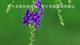 野生香菇如何煲汤，野生香菇煲汤的做法