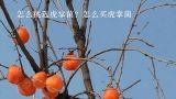 怎么挑选虎掌菌？怎么买虎掌菌