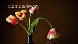 灵芝怎么泡茶喝？