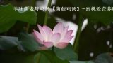  羊肚菌老母鸡汤【菌菇鸡汤】-蜜桃爱营养师私厨健康煲汤 