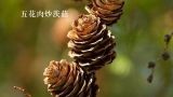  五花肉炒茨菇 