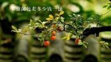 平菇菌包卖多少钱一包