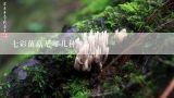 七彩菌菇是哪几种？可食用的蘑菇