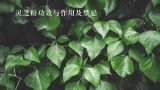 灵芝粉功效与作用及禁忌