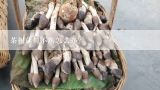 茶树菇炖不熟怎么办？怎么用干茶树菇煲汤 干茶树菇怎样泡发？