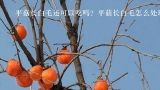 平菇长白毛还可以吃吗？平菇长白毛怎么处理