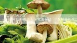 干茶树菇的做法大全家常做法 干茶树菇的烹饪方法,茶树菇干货怎么做好吃