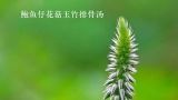  鲍鱼仔花菇玉竹排骨汤 