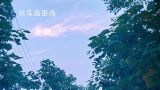  丝瓜菇蛋汤 