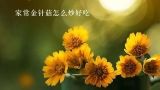 家常金针菇怎么炒好吃