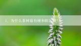 为什么茶树菇有硬和软区别？为什么市面上卖的茶树菇都是干货