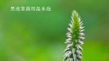 黑虎掌菌用温水泡