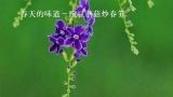  春天的味道－豌豆蘑菇炒春笋 