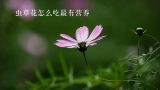 虫草花怎么吃最有营养