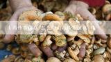 山药炒茶树菇 怎么做山药炒茶树菇,山药茶树菇排骨可以一起炖汤吗