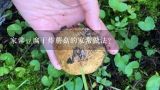 家常豆腐干炸蘑菇的家常做法？干炸鲜蘑菇的家常做法