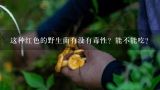 这种红色的野生菌有没有毒性？能不能吃？如何科学检测野生菌毒性