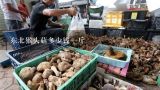 东北猴头菇多少钱一斤,谁能说下新鲜猴头菇最便宜多少钱一斤