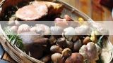 所有蘑菇的图片和名字,食用菌种类名称及图片