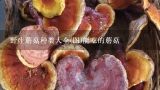 野生蘑菇种类大全(图)能吃的蘑菇,内蒙古野生蘑菇品种大全？