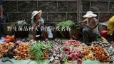 野生菌品种大全图片及名称,野生菌品种大全图片