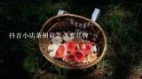 茶树菇哪里产地最好,我国哪里瓣的茶树菇最好