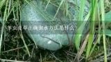 冬虫夏草正确泡水方法是什么？