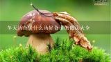 冬天适合煲什么汤好食谱的做法大全,冬季煲汤食谱100种做法大全