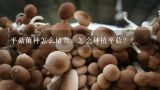 平菇菌种怎么培养，怎么种植平菇？为什么要建立菌种库,如何才能保证菌种的质量控制