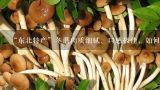 7种蘑菇的家常烹饪窍门以及如何选购蘑菇,蘑菇有哪些好搭档-----香菇炒油菜、口蘑配菜心、草