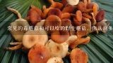 常见的毒蘑菇和可以吃的野生蘑菇，你认识多少？各种菇类图片及名称
