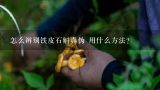 怎么辨别铁皮石斛真伪 用什么方法?铁皮石斛怎样辨别真假