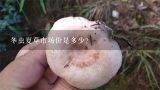 冬虫夏草市场价是多少？冬虫夏草多少钱一条？冬虫夏草价格表？