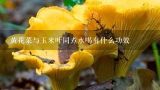 黄花菜与玉米叶同煮水喝有什么功效,干黄花菜煮水喝有毒吗