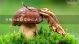 养颜木瓜凉菜做法大全？凉菜做法大全四荤四素？