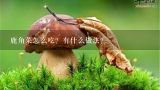 鹿角菜怎么吃？有什么做法？干香菇怎么做?