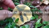 关于生物制剂的医保现在治疗类风湿的生物制剂出了不少…,治疗银屑病的“终极武器”——生物制剂