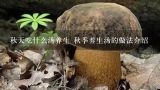 秋天吃什么汤养生 秋季养生汤的做法介绍,秋季喝汤养肺宜清润