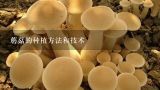 蘑菇的种植方法和技术,如何养殖蘑菇