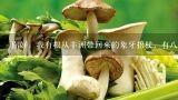 你好，我有根从非洲带回来的象牙拐杖，有八十多公分,一副拐杖大概多少钱，谁有网址可以看到图和价钱吗？