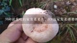 50种最常吃的家常菜菜名，100道家常菜谱菜名有什么,100道家常菜谱菜名