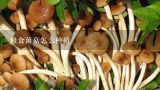 极食菌菇怎么种植,极食菌菇怎么种植