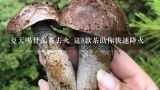 夏天喝什么茶去火 这8款茶助你快速降火,喝什么茶清火效果好？