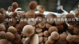 请问，云南省内哪里有人工食用菌的栽培技术培训？云南或西双版纳哪里有食用菌栽培技术培训
