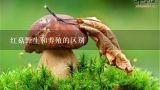 红菇野生和养殖的区别,红菇高产种植技术？
