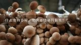 什么食物养胃，能快速修补胃黏膜?什么食物养胃，能快速修补胃黏膜？